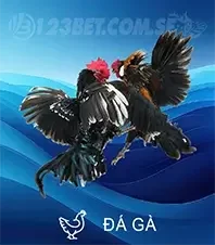 Trang chủ 333 daga123b
